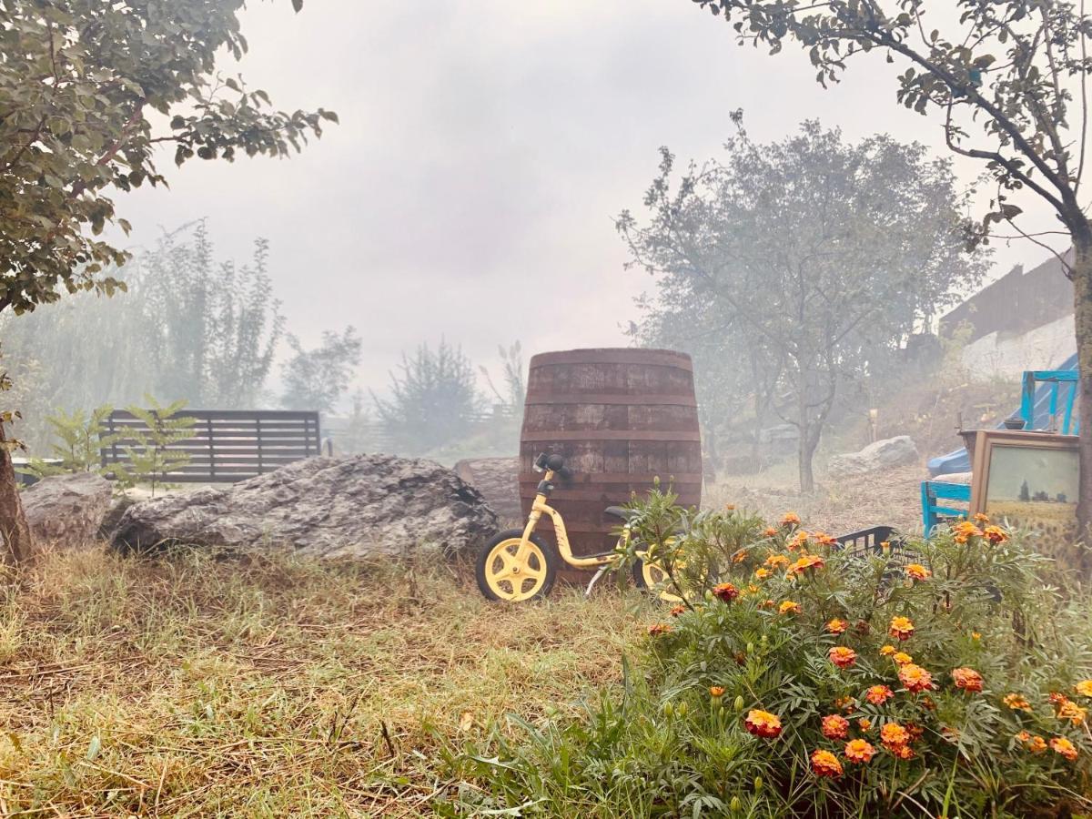Pensiunea 4 Salcii Băltenii de Sus Exteriér fotografie