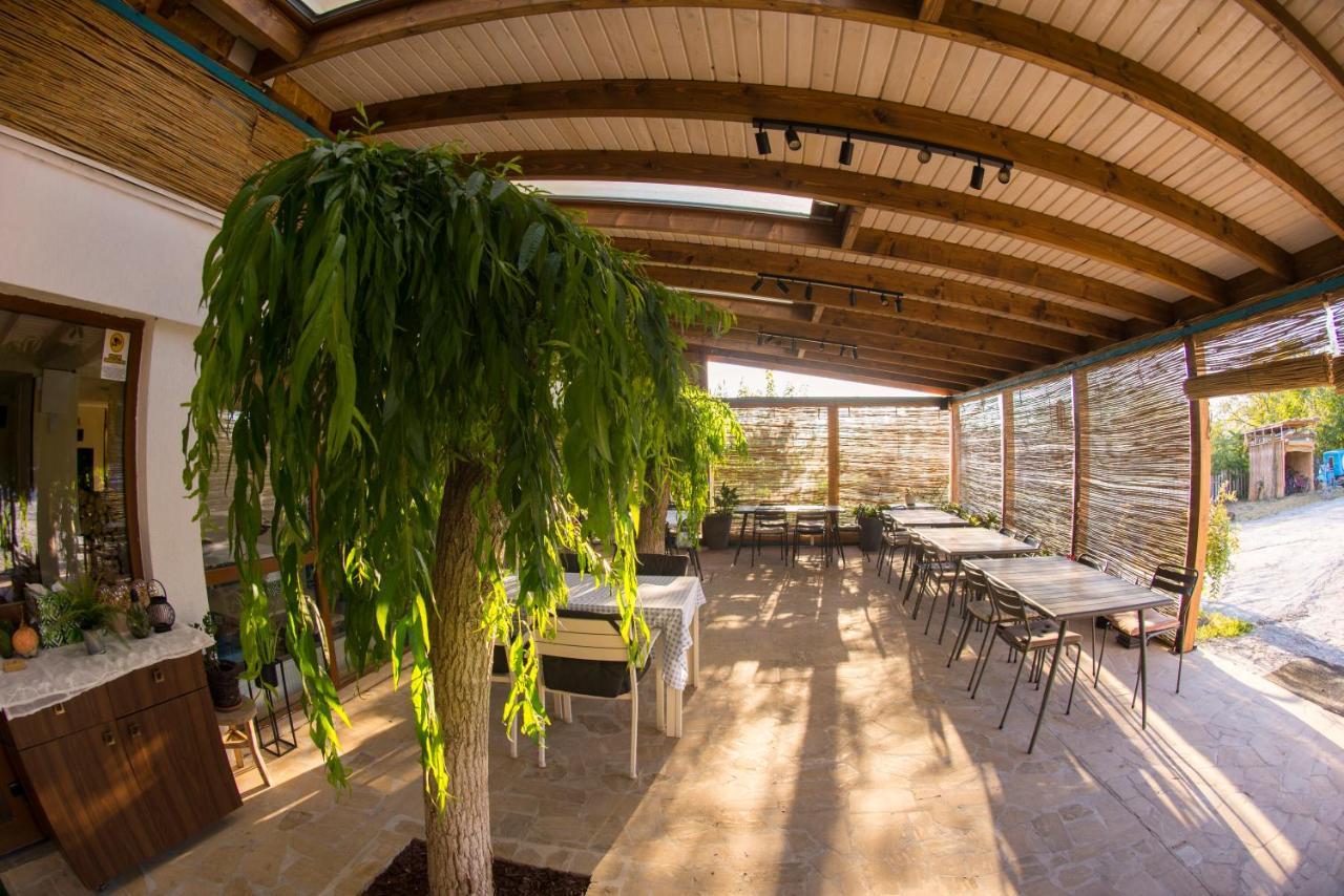 Pensiunea 4 Salcii Băltenii de Sus Exteriér fotografie