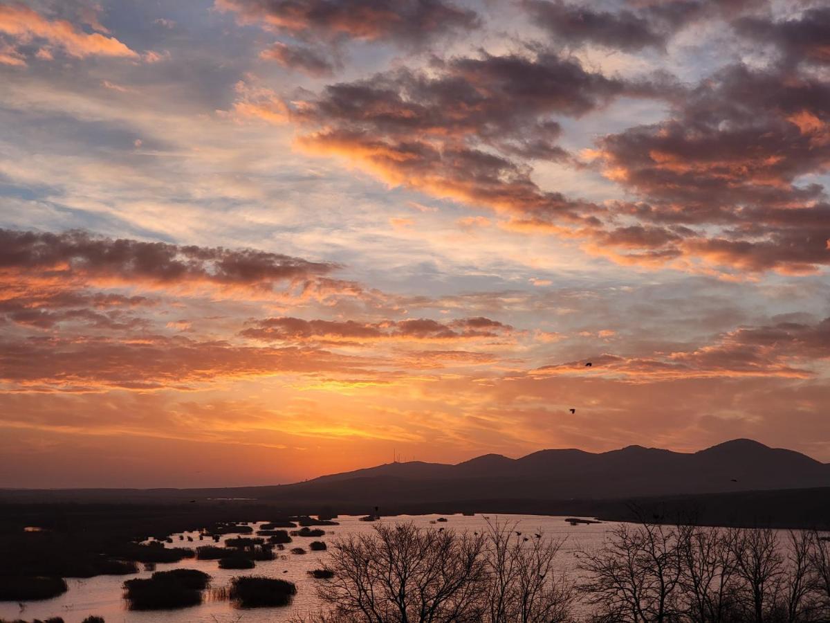 Pensiunea 4 Salcii Băltenii de Sus Exteriér fotografie
