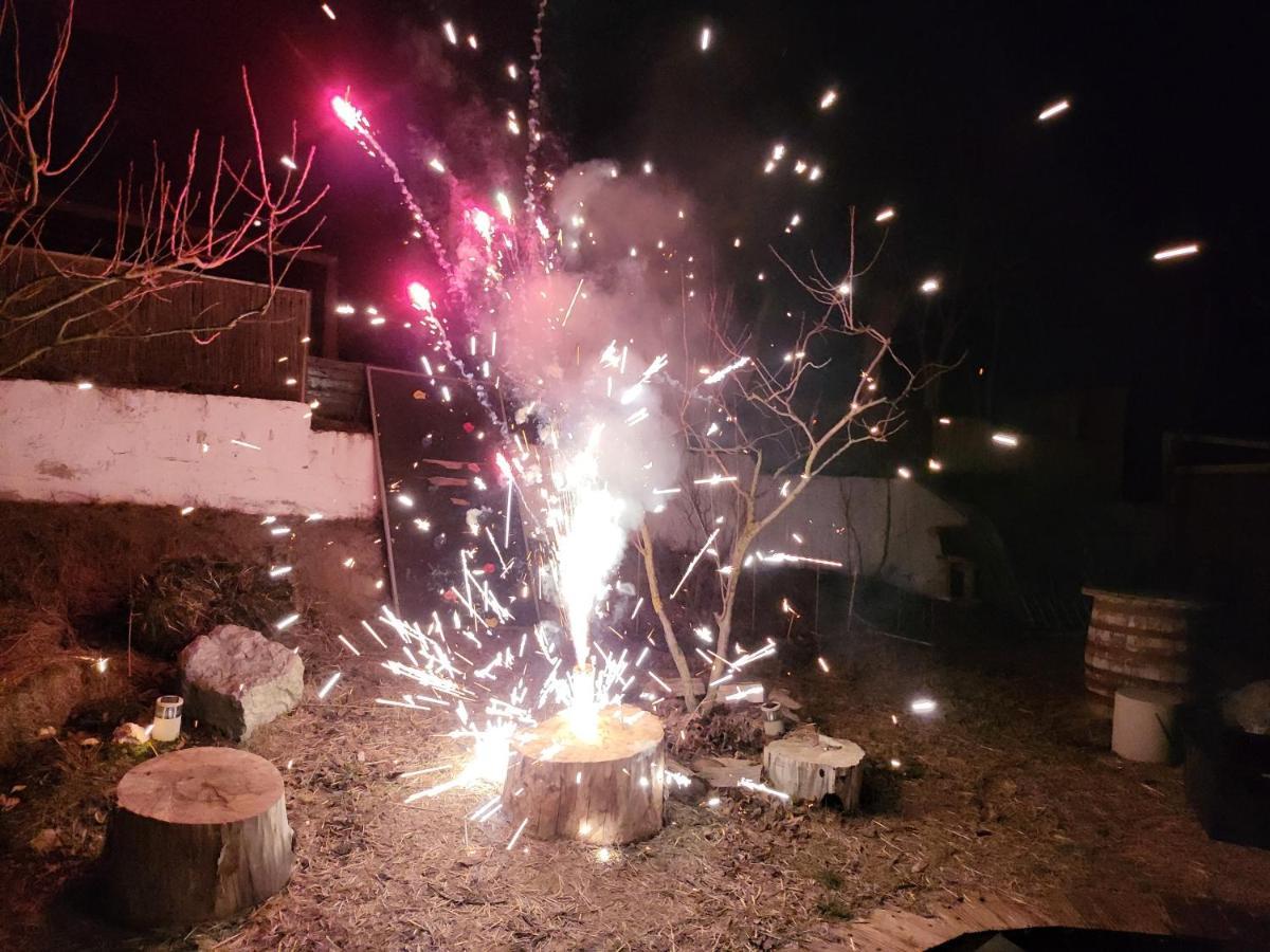 Pensiunea 4 Salcii Băltenii de Sus Exteriér fotografie